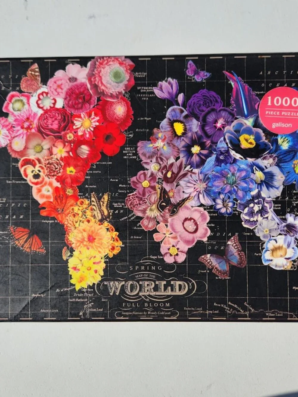 Ravensburger galison full